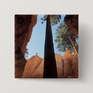 USA, Utah, Bryce Canyon National Park.Groß Button