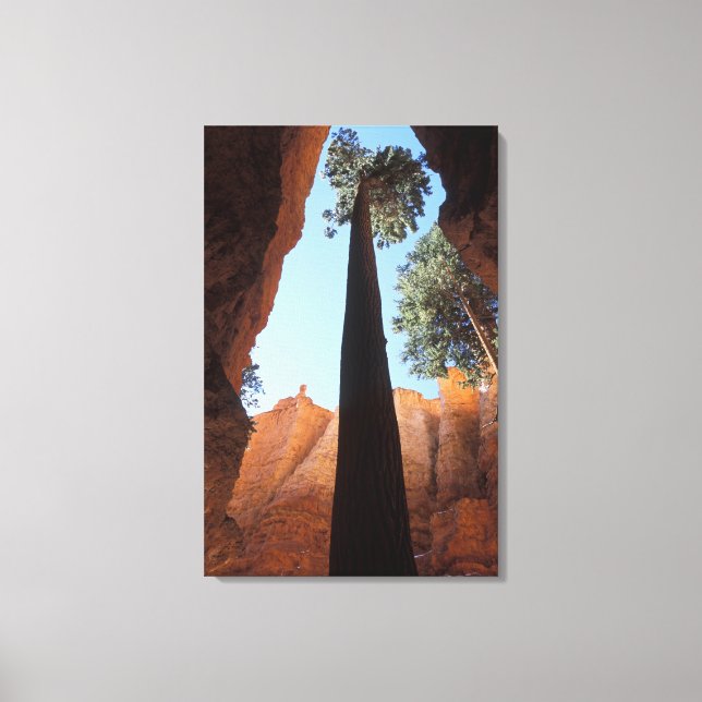 USA, Utah, Bryce Canyon National Park. Groß Leinwanddruck (Vorderseite)