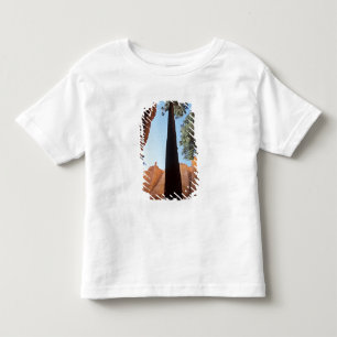 USA, Utah, Bryce Canyon National Park. Hoch Kleinkind T-shirt