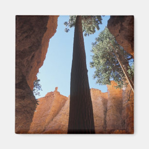 USA, Utah, Bryce Canyon National Park. Hoch Magnet