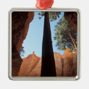 USA, Utah, Bryce Canyon National Park. Hoch Ornament Aus Metall