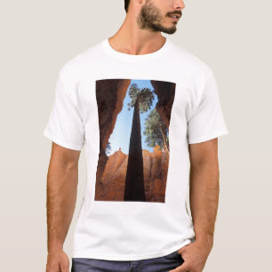 USA, Utah, Bryce Canyon National Park. Hoch T-Shirt
