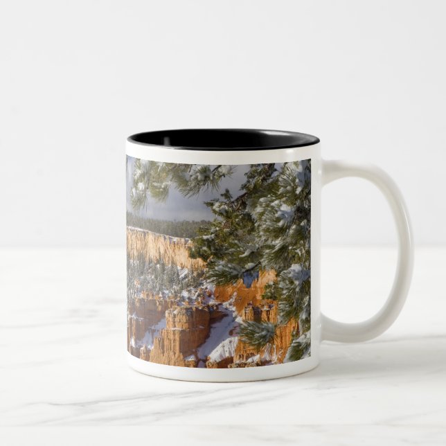 USA, Utah, Bryce Canyon National Park.Sonnenschein Zweifarbige Tasse (Rechts)