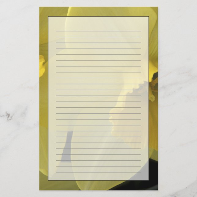 USA, Utah, Cache Valley Daffodils Briefpapier (Vorderseite)
