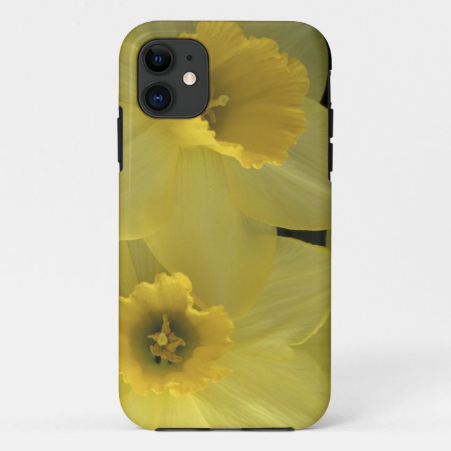 USA, Utah, Cache Valley Daffodils Case-Mate iPhone Hülle (Rückseite)