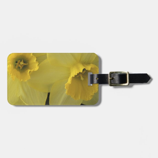 USA, Utah, Cache Valley Daffodils Gepäckanhänger (Vorderseite horizontal)