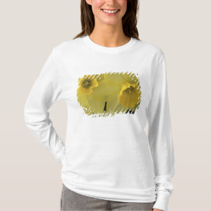 USA, Utah, Cache Valley Narzissen T-Shirt