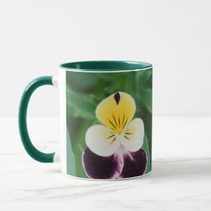 USA, Utah, Cache Valley, Stiefmütterchen Tasse