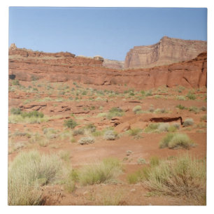 USA, Utah, Canyonlands NP, Shafer Canyon Fliese