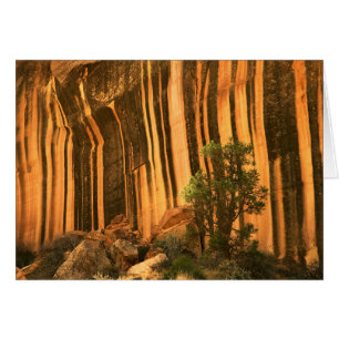 USA, Utah, Capitol Reef National Park