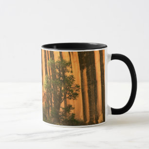 USA, Utah, Capitol Reef National Park Tasse