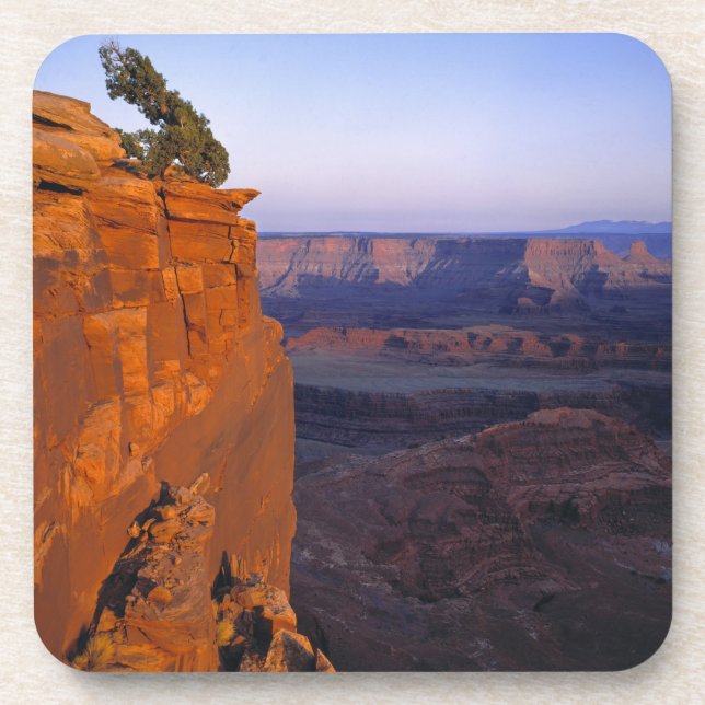 USA, Utah, Dead Horse Point SP. Late Lichtdrehunge Getränkeuntersetzer (Vorderseite)