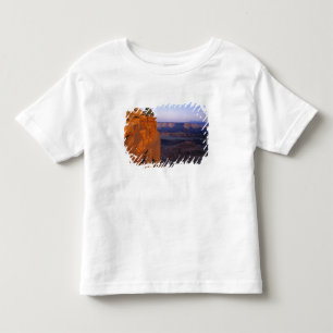 USA, Utah, Dead Horse Point SP. Late Lichtdrehunge Kleinkind T-shirt