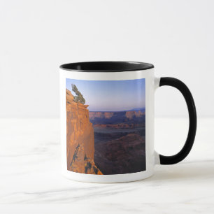 USA, Utah, Dead Horse Point SP. Late Lichtdrehunge Tasse