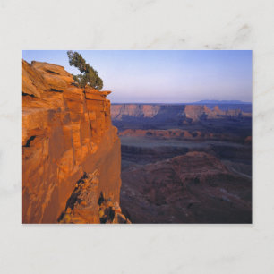 USA, Utah, Dead Horse Point SP. Spätes Licht färbt Postkarte