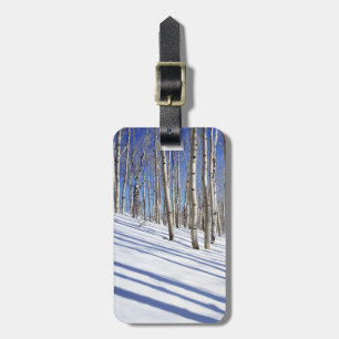 USA, Utah, Dixie National Forest, Aspen Grove Gepäckanhänger