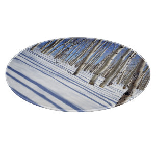 USA, Utah, Dixie National Forest, Aspen Grove Schneidebrett
