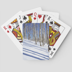 USA, Utah, Dixie staatlicher Wald, Aspen-Waldung Spielkarten