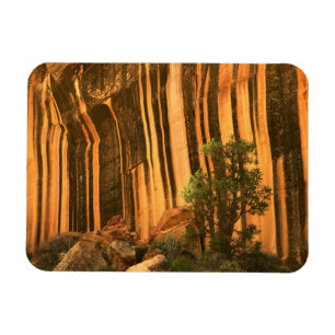 USA, Utah, Hauptstadt Reef National Park Magnet