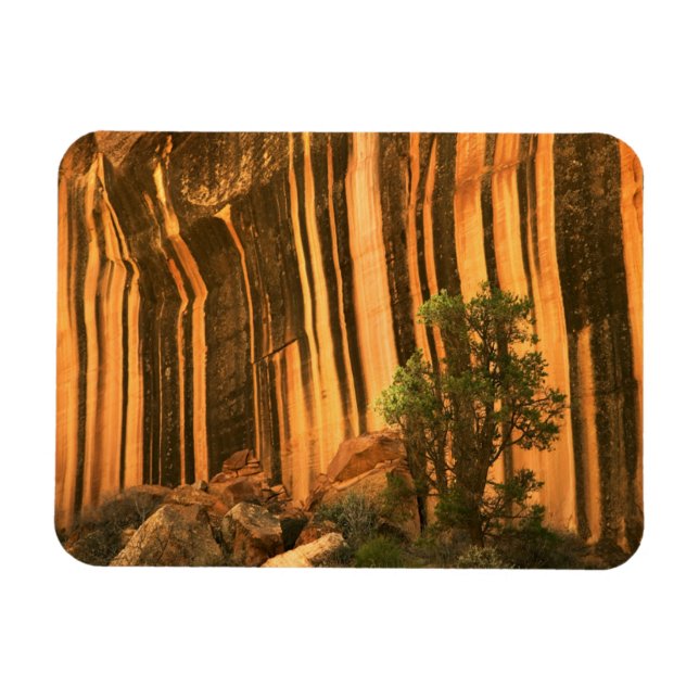 USA, Utah, Hauptstadt Reef National Park Magnet (Horizontal)