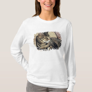 USA, Utah, Hauptstadt Reef NP. Schlaftabellatze T-Shirt