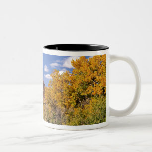 USA, Utah, in der Nähe des Canyonlands National P Zweifarbige Tasse