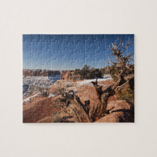 USA, Utah, Moab. Canyonlands National Park,