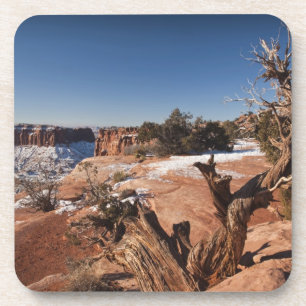 USA, Utah, Moab. Canyonlands National Park, Untersetzer