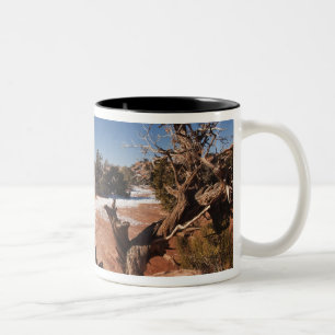 USA, Utah, Moab. Canyonlands National Park, Zweifarbige Tasse