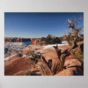 USA, Utah, Moab. Canyonlands-Nationalpark, Poster