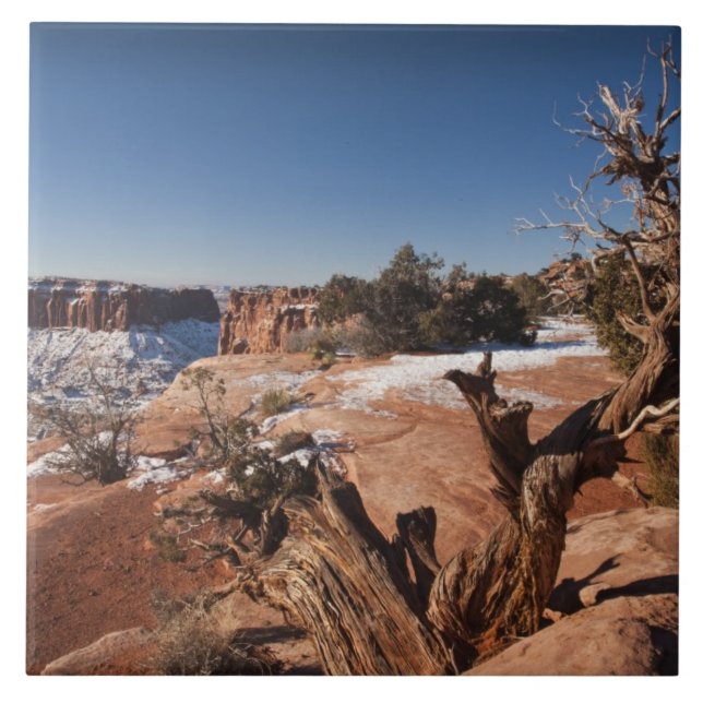 USA, Utah, Moab. Nationalpark Canyonlands, Fliese (Vorderseite)