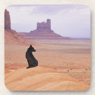 USA, Utah, Monument-Tal, Hund, der auf Felsen Getränkeuntersetzer