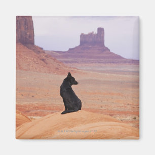 USA, Utah, Monument-Tal, Hund, der auf Felsen Magnet