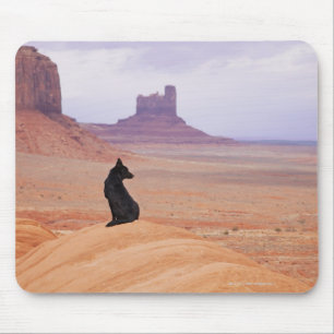 USA, Utah, Monument-Tal, Hund, der auf Felsen Mousepad