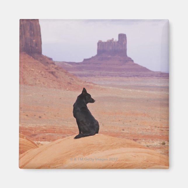USA, Utah, Monument Valley, Hund sitzend auf Felse Magnet (Vorne)