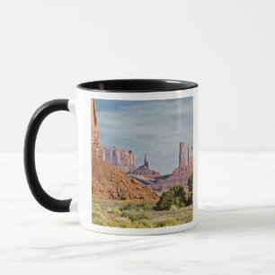 USA, Utah, Monument Valley Navajo Tribal Park. Tasse