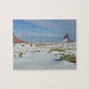 USA, Utah, Monument Valley. Salbei zeigt sich