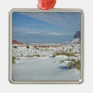 USA, Utah, Monument Valley. Salbei zeigt sich Silbernes Ornament