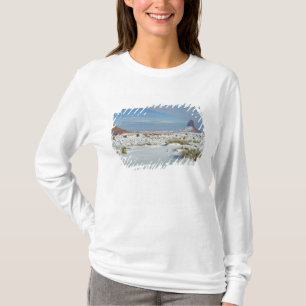 USA, Utah, Monument Valley. Salbei zeigt sich T-Shirt