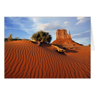 USA, Utah, Monument Valley. Wind erzeugt