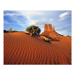 USA, Utah, Monument Valley. Wind erzeugt Fotodruck
