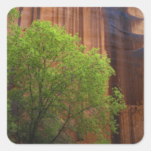 USA, Utah, Paria Canyon- Vermillion Cliffs Quadratischer Aufkleber