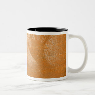 USA, Utah, Pictogramm Handabdrücke auf Sandstein, Zweifarbige Tasse
