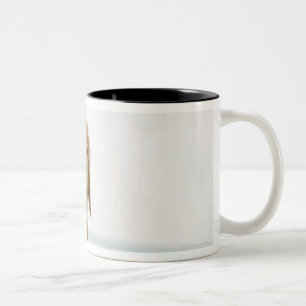 USA, Utah, Salt Lake City, Hälfte rasierten Zweifarbige Tasse