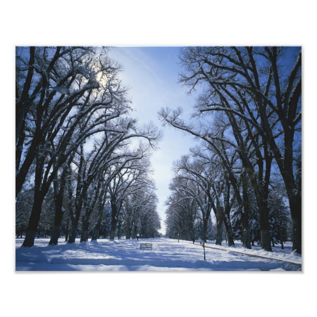 USA, Utah, Salt Lake City, Liberty Park, Fotodruck (Vorne)