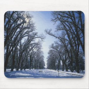 USA, Utah, Salt Lake City, Liberty Park, Mousepad