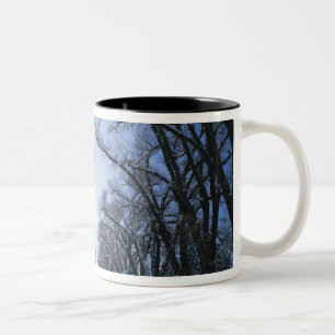 USA, Utah, Salt Lake City, Liberty Park, Zweifarbige Tasse