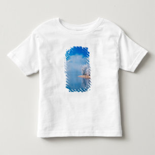USA, Utah, Soldier Hollow, in der Nähe von 2002 Kleinkind T-shirt