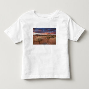 USA, Utah. Sonnenuntergang auf Poison Spider Mesa Kleinkind T-shirt