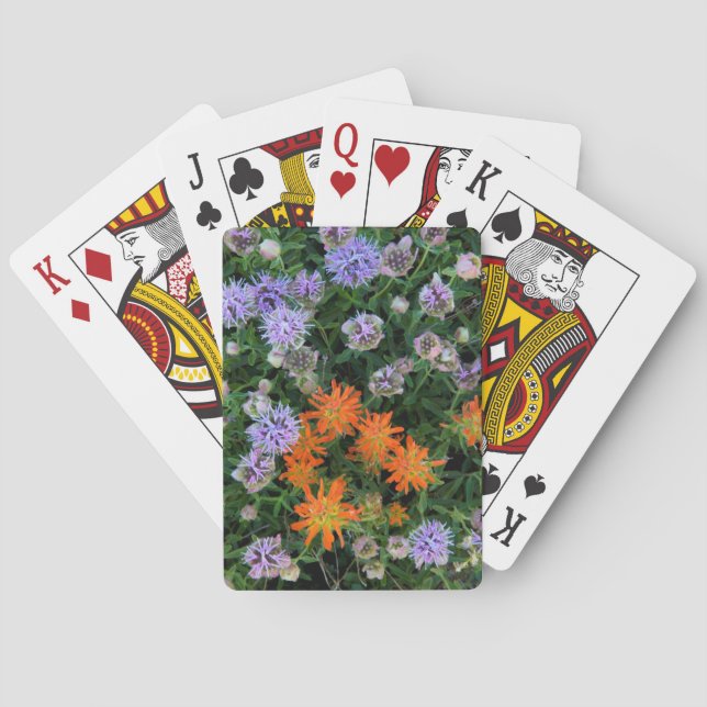 USA, Utah, Uinta-Wasatch-Cache Nationalforst 3 Spielkarten (Rückseite)